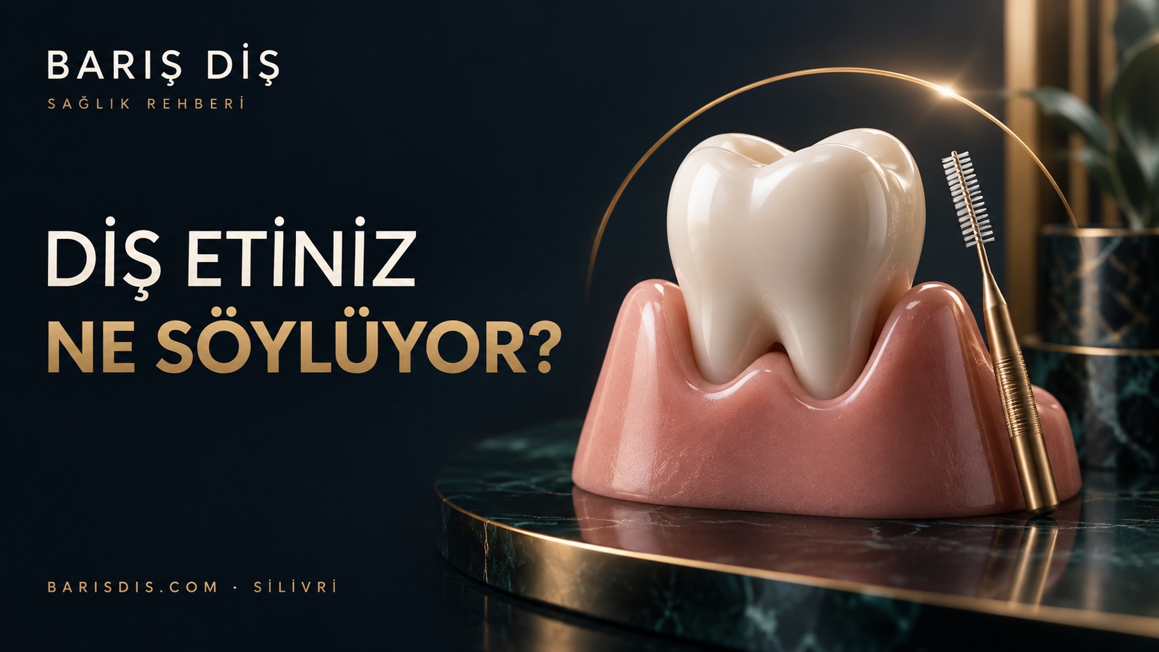 Diş eti sağlığı rehberi için diş, diş eti modeli ve diş arası fırçası illüstrasyonu